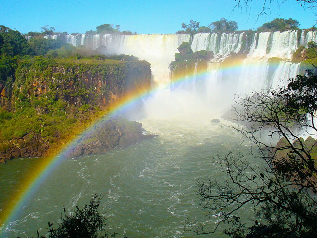 パラグアイ入国手続きの流れ（到着空港での動き方）